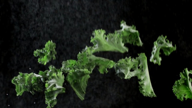 Video Reference N6: Leaf, Plant, Flower, Organism, Kale, Leaf vegetable, Plant stem