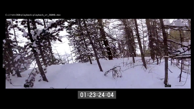 Video Reference N2: Snow, Winter, Nature, Tree, Freezing, Biome, Woody plant, Forest, Adaptation, Branch