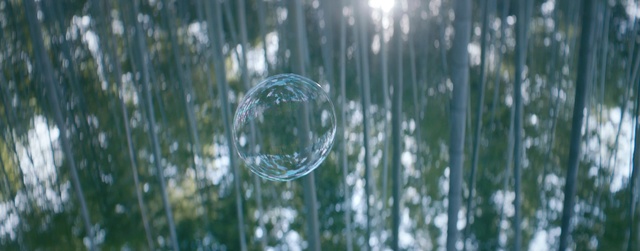 Video Reference N0: Water, Nature, Dew, Green, Moisture, Grass, Natural environment, Drop, Sunlight, Liquid bubble