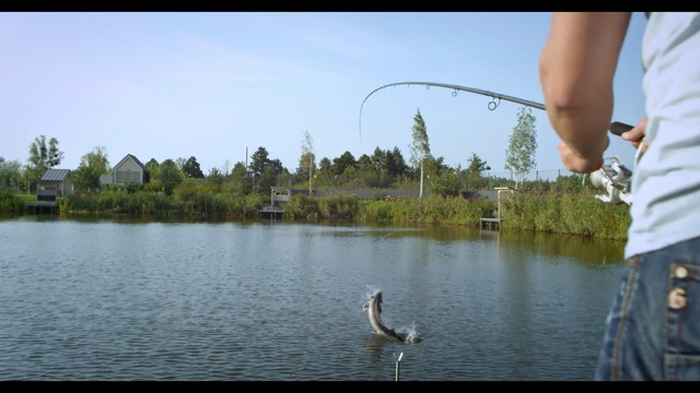Video Reference N1: water, lake, angling, water resources, reservoir, reflection, sky, recreational fishing, pond, tree