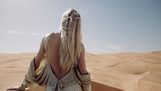 Video Reference N0: Hair, Desert, Natural environment, Blond, Beauty, Long hair, Sand, Hairstyle, Landscape, Aeolian landform