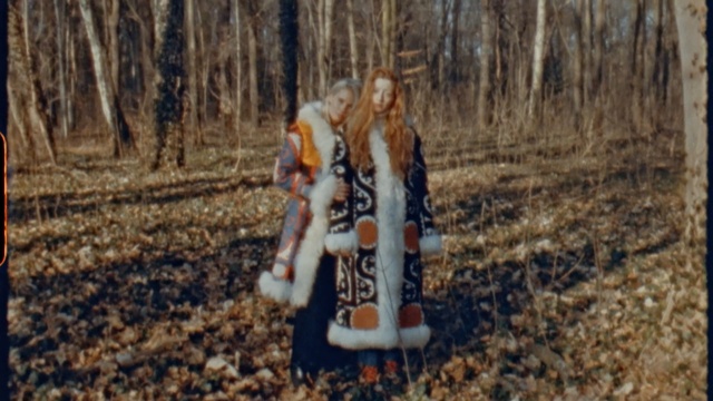 Video Reference N7: tree, wood, forest, soil, winter, grass, woodland, grass family, plant, girl