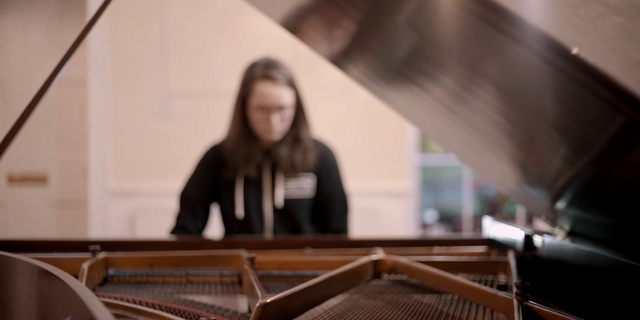 Video Reference N6: Cimbalom, Musical instrument, Folk instrument, Hammered dulcimer