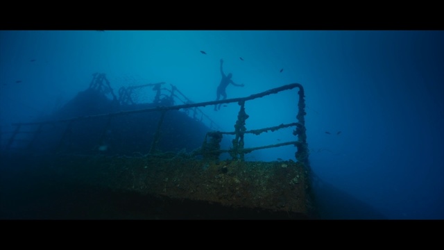 Video Reference N1: underwater, shipwreck, water, underwater diving, atmosphere, sea, aquanaut, reef, marine biology, organism