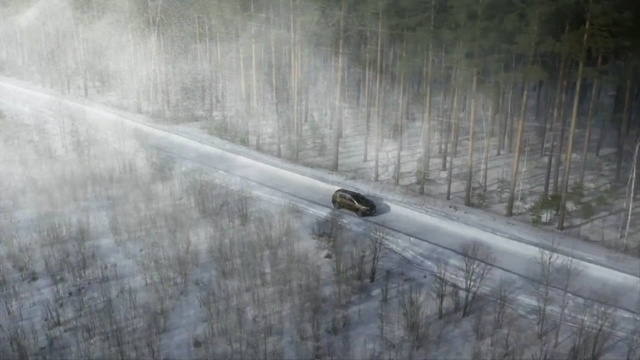 Video Reference N1: road, snow, freezing, tree, geological phenomenon, winter, frost, water, asphalt, forest
