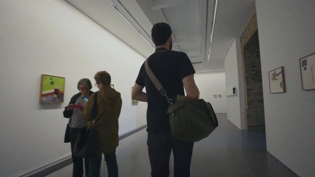 Video Reference N23: Visual arts, Tourist attraction, Art, Design, Architecture, Art gallery, Event, Museum