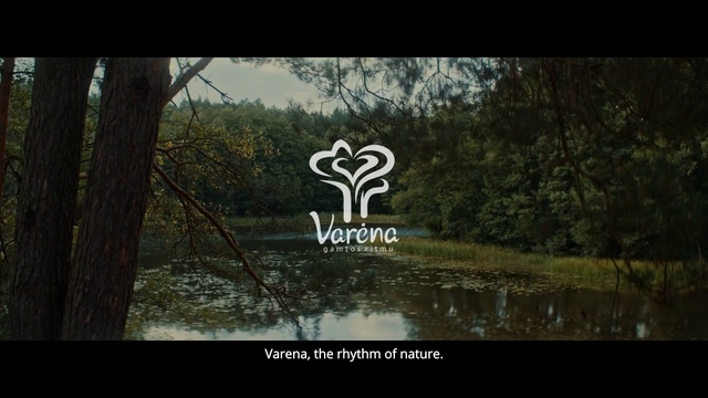 Video Reference N0: Nature, Vegetation, Natural environment, Tree, Text, Nature reserve, Natural landscape, Woodland, Forest, Wilderness