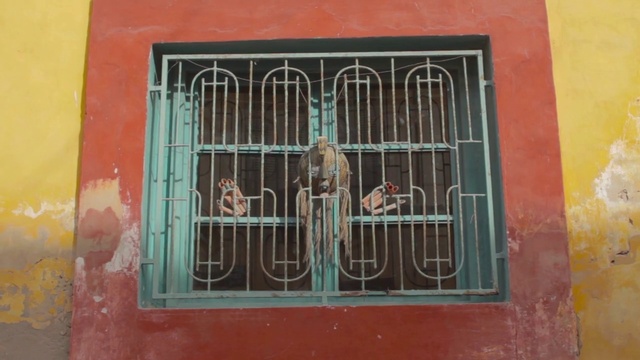 Video Reference N1: Cage, Iron, Window, Metal, Facade, Art