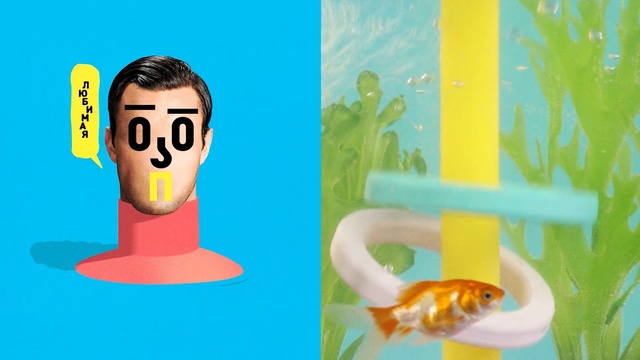 Video Reference N2: Cartoon, Illustration, Art, Goldfish, Fish