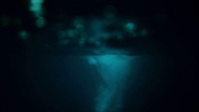 Video Reference N0: Black, Blue, Darkness, Turquoise, Aqua, Light, Marine biology, Green, Underwater, Azure