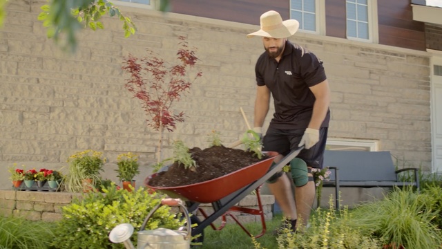 Video Reference N2: Wheelbarrow, Gardener, Cart, Garden, Gardening, Yard, Plant, Vehicle, Shrub