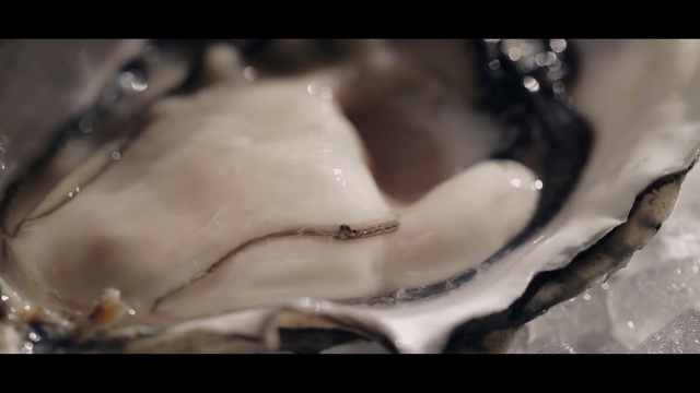 Video Reference N1: oyster, clams oysters mussels and scallops, jaw, animal source foods, seafood, clam