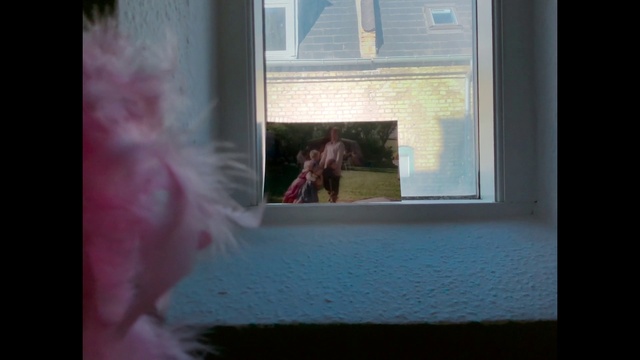 Video Reference N3: Photograph, Pink, Light, Snapshot, Window, Room, Photography, Organism, Fun, Adaptation