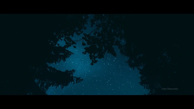 Video Reference N2: Sky, Black, Blue, Atmosphere, Darkness, Green, Turquoise, Light, Aqua, Night