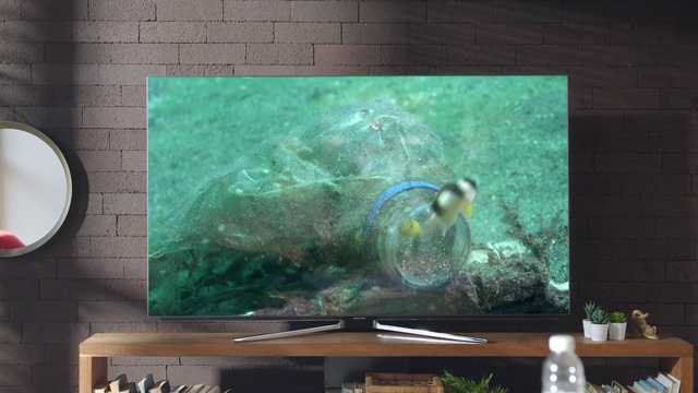 Video Reference N0: Green, Turquoise, Teal, Painting, Organism, Modern art, Turquoise, Art, Rectangle, Still life