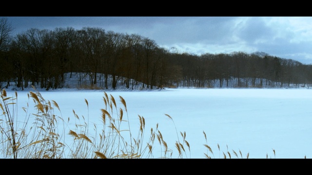 Video Reference N0: Snow, Winter, Nature, Natural landscape, Sky, Tree, Freezing, Grass, Grass, Plant