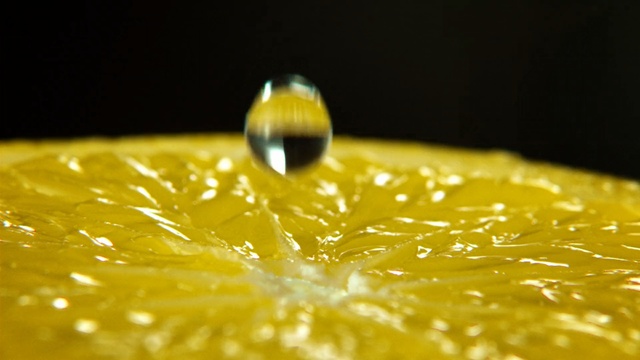 Video Reference N1: yellow, macro photography, close up, water, drop, pollen, moisture