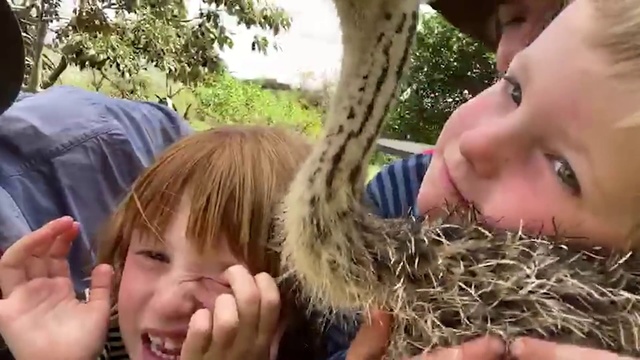 Video Reference N1: Facial expression, Nose, Child, Grass, Wildlife, Grass family, Fun, Mouth, Adaptation, Hand