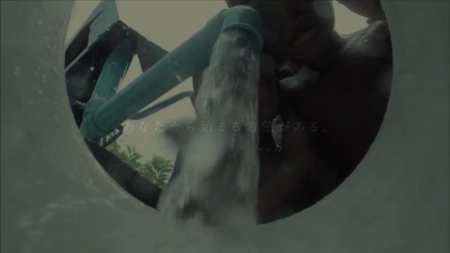 Video Reference N4: water, organism, screenshot