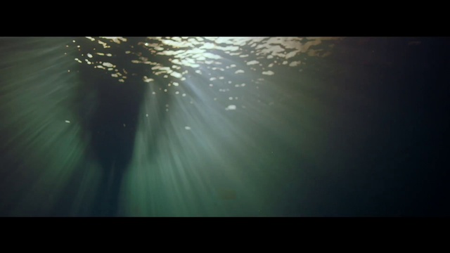 Video Reference N1: Green, Nature, Water, Black, Light, Atmosphere, Darkness, Sunlight, Sky, Lens flare