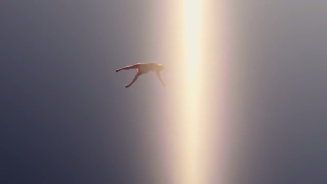 Video Reference N2: Sky, Insect, Atmospheric phenomenon, Wing, Photography, Pest, Invertebrate, Macro photography