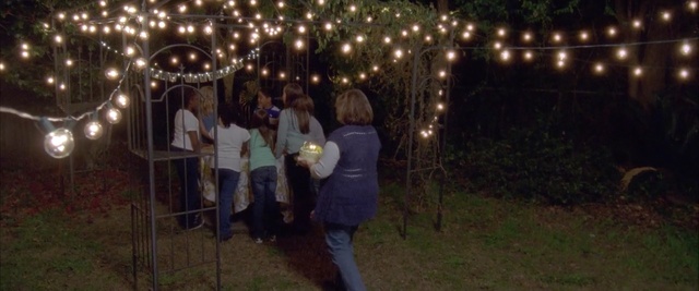 Video Reference N1: night, light, tree, event, darkness, ceremony, lighting, fun, recreation, midnight, Person