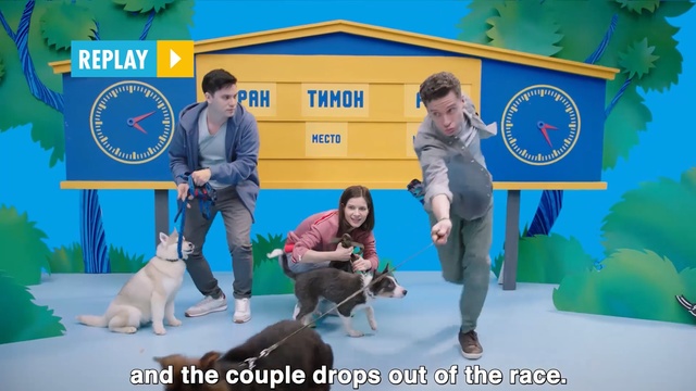 Video Reference N14: Conformation show, Dog, Canidae, Dog breed, Carnivore, Junior showmanship, Sporting Group, Obedience training, Kennel club, Person