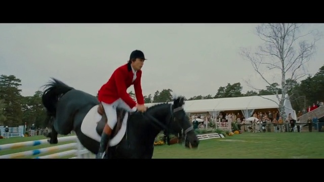Video Reference N3: Horse, Animal sports, Mammal, Sports, Vertebrate, Halter, Bridle, Equestrianism, Eventing, Rein