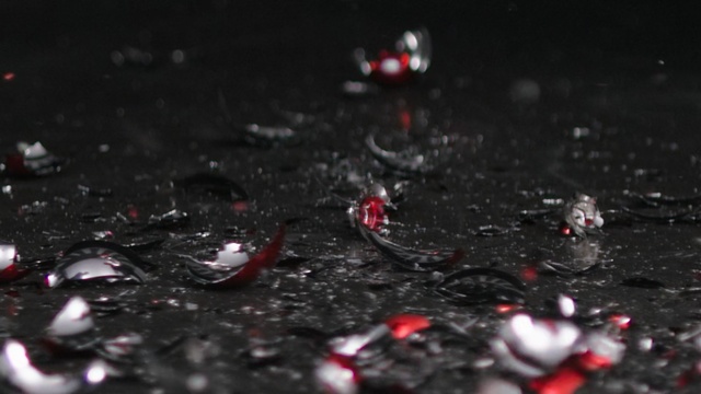 Video Reference N0: Water, Black, Red, Soil, Darkness, Photography, Plant, Close-up, Organism, Drop