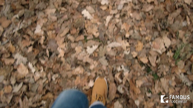 Video Reference N1: Soil, Footwear, Tree, Shoe