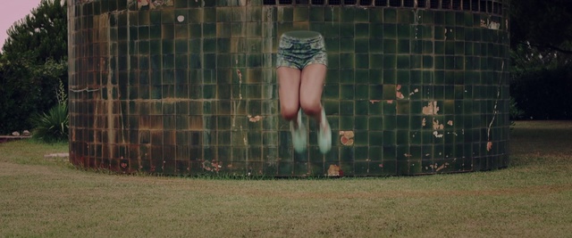 Video Reference N4: Grass, Leg, Fence, Human leg, Thigh, Photography, Shorts, Lawn, Net