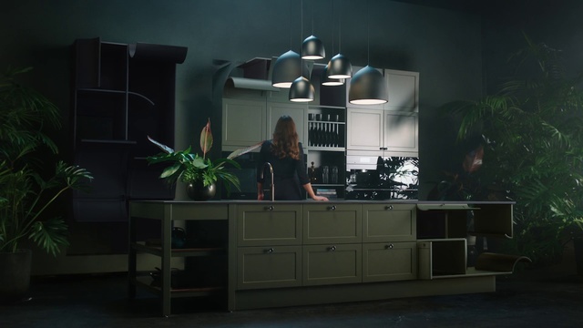 Video Reference N0: Green, Room, Furniture, House, Architecture, Night, Interior design, Table, Plant, Building