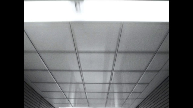 Video Reference N4: Ceiling, Architecture, Light, Line, Monochrome, Daylighting, Black-and-white, Symmetry, Roof, Monochrome photography