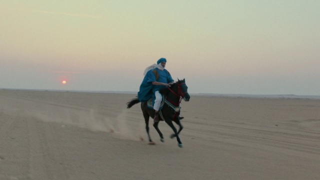 Video Reference N5: Horse, Rein, Natural environment, Desert, Sand, Sahara, Aeolian landform, Landscape, Recreation, Jockey