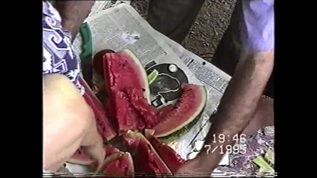 Video Reference N3: Flesh, Food, Human, Mouth, Organism, Plant, Fruit, Vegetable