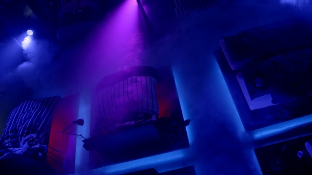 Video Reference N1: Blue, Purple, Light, Violet, Lighting, Electric blue, Magenta, Sky, Performance, Nightclub