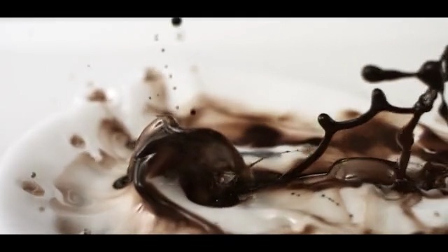 Video Reference N0: Chocolate, Chocolate syrup, Macro photography, Dessert, Still life photography, Photography, Indoor, White, Small, Plate, Food, Black, Sitting, Cat, Laying, Bowl, Dog, Table, Playing