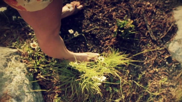 Video Reference N0: grass, soil, plant, tree, leg, foot, grass family, girl, barefoot