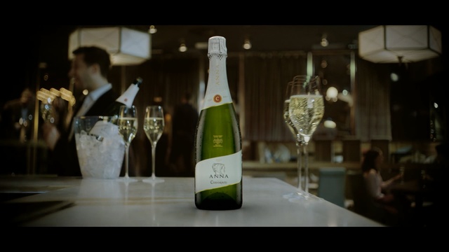 Video Reference N1: drink, wine, bottle, champagne, alcoholic beverage, glass bottle, liqueur, distilled beverage, alcohol, glass, Person