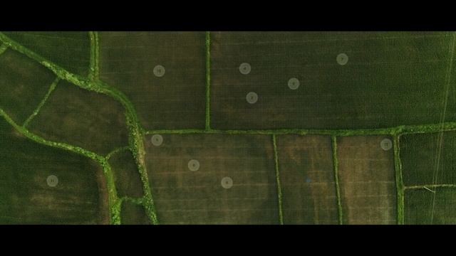 Video Reference N4: Green, Leaf, Land lot, Grass, Aerial photography, Circle, Photography, Symmetry, Landscape, Plant
