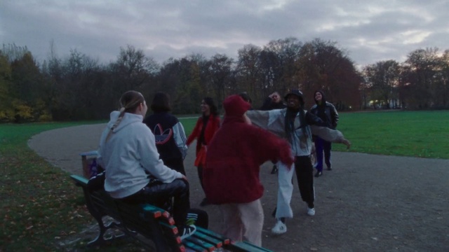Video Reference N8: Social group, Community, Fun, Public space, Leisure, Recreation, Walking, Grass, Tree, Lawn