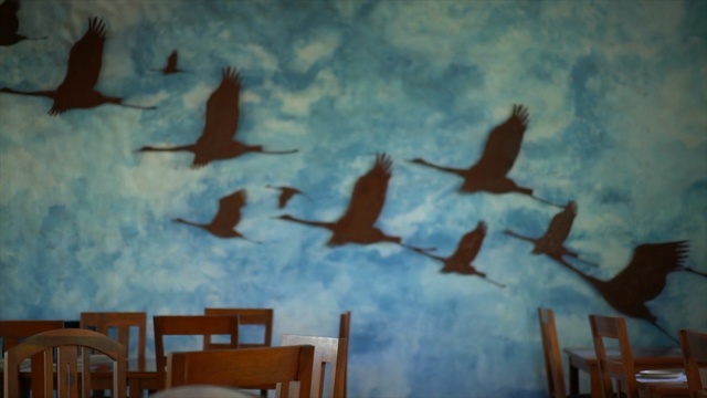 Video Reference N14: Blue, Wall, Painting, Bird, Art, Mural, Flock, Sky, Visual arts, Seabird