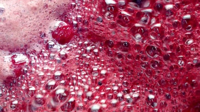 Video Reference N5: Water, Red, Pink, Glitter, Plant, Berry, Dew, Fruit, Drop, Liquid