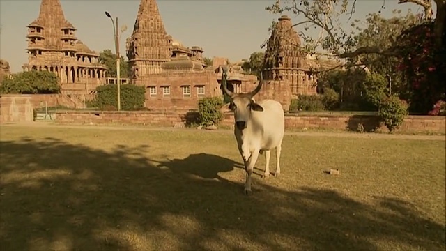 Video Reference N4: goats, tree, temple, sky, pasture, historic site, goat, grass, livestock, village