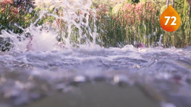 Video Reference N10: Water, Nature, Water resources, Watercourse, Grass, River, Geological phenomenon, Wave, Plant, Pond