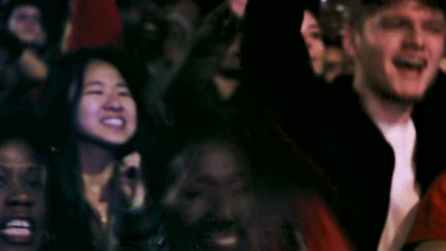 Video Reference N14: People, Music, Crowd, Fun, Event, Nightclub, Audience, Performance, Music venue, Party