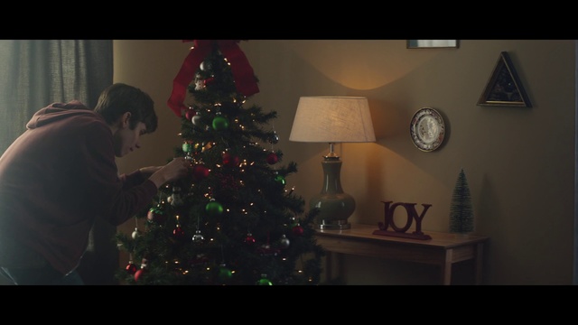 Video Reference N2: Christmas tree, Christmas, Tree, Photograph, Christmas ornament, Christmas decoration, Home, Snapshot, Lighting accessory, Living room