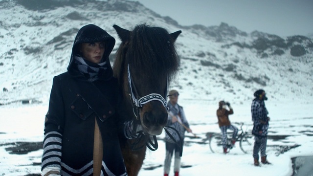 Video Reference N1: snow, winter, horse, horse like mammal, freezing, pack animal, horse supplies, fun, ice, adventure, Person