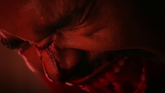Video Reference N0: Red, Black, Mouth, Close-up, Flesh, Lip, Darkness, Photography, Macro photography, Organism