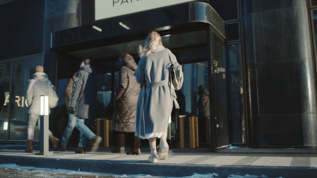 Video Reference N6: Snapshot, Fashion, Outerwear, Scene, Display window, Photography, Fur